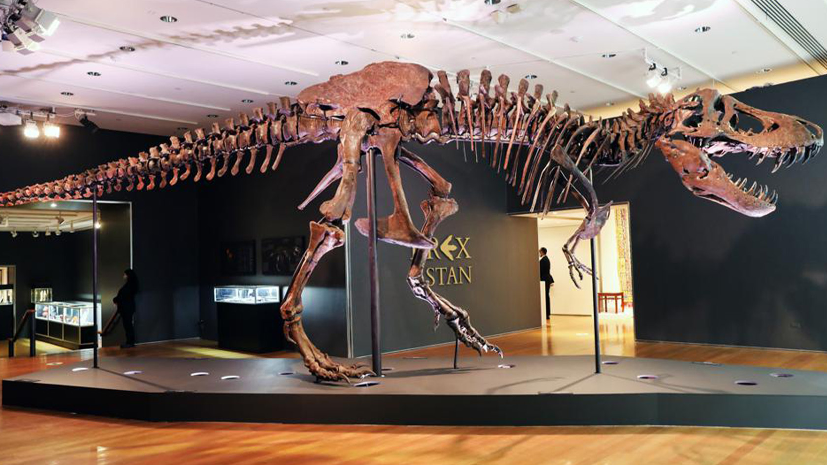 T-Rex Skeleton Fetches Over $40 Million AUD At Auction | lifewithoutandy