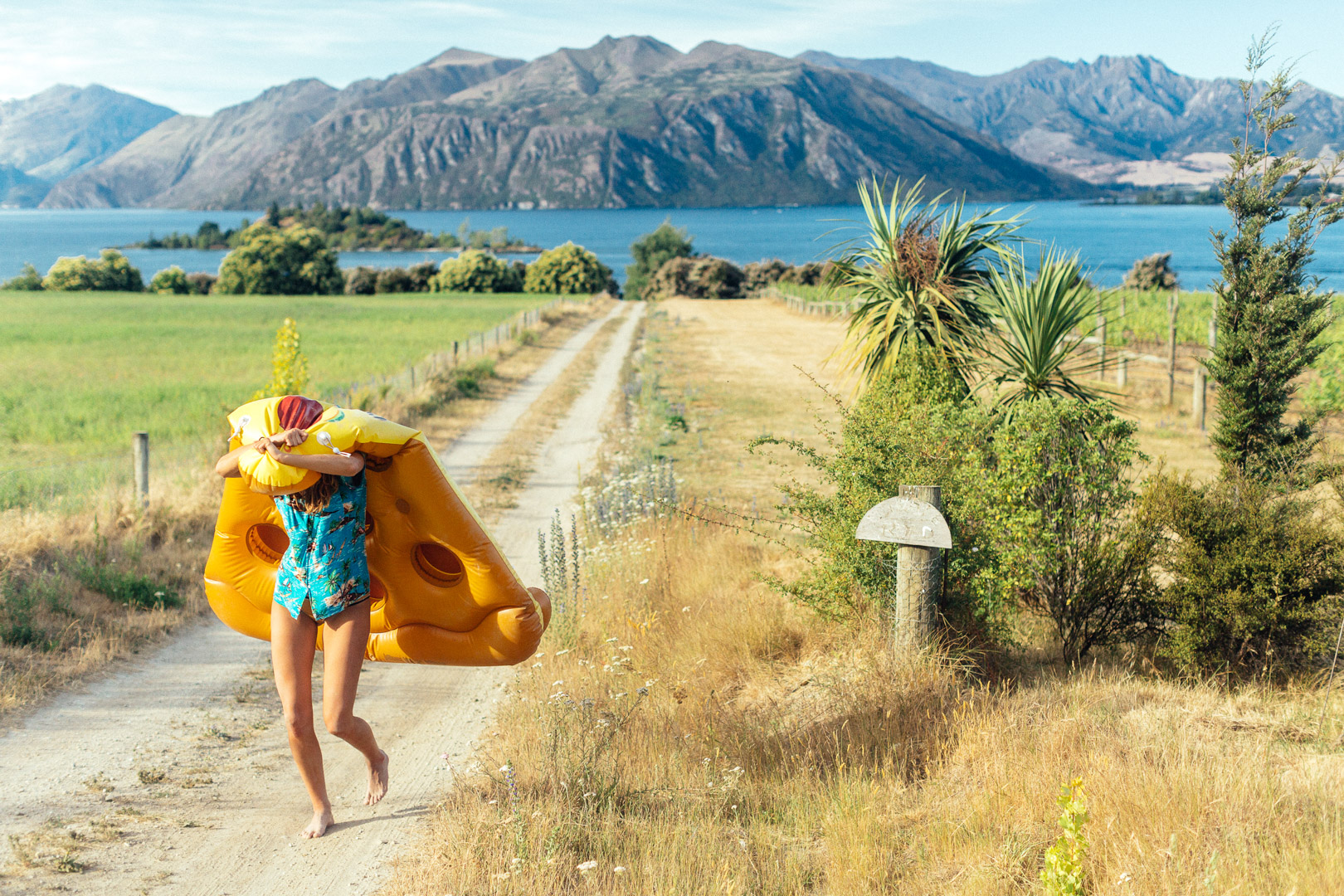 polarbearsabertooth-around-nye-hundreds-float-out-to-ruby-island-pictured-in-lake-wanaka-for-a-massive-day-party-the-float-back-is-even-more-interesting