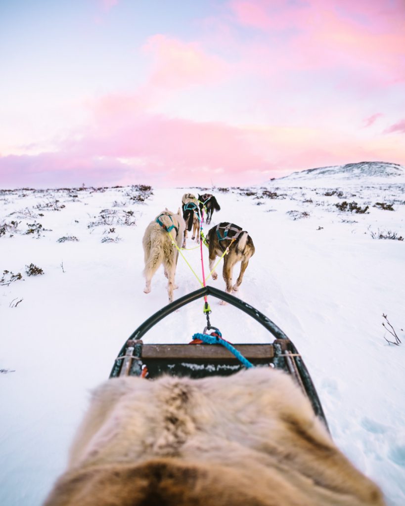 8. Dog sledding Norway