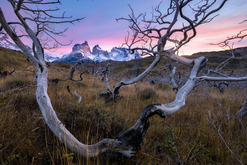 torres_del_paine_William_Patino_sunrise copy-1