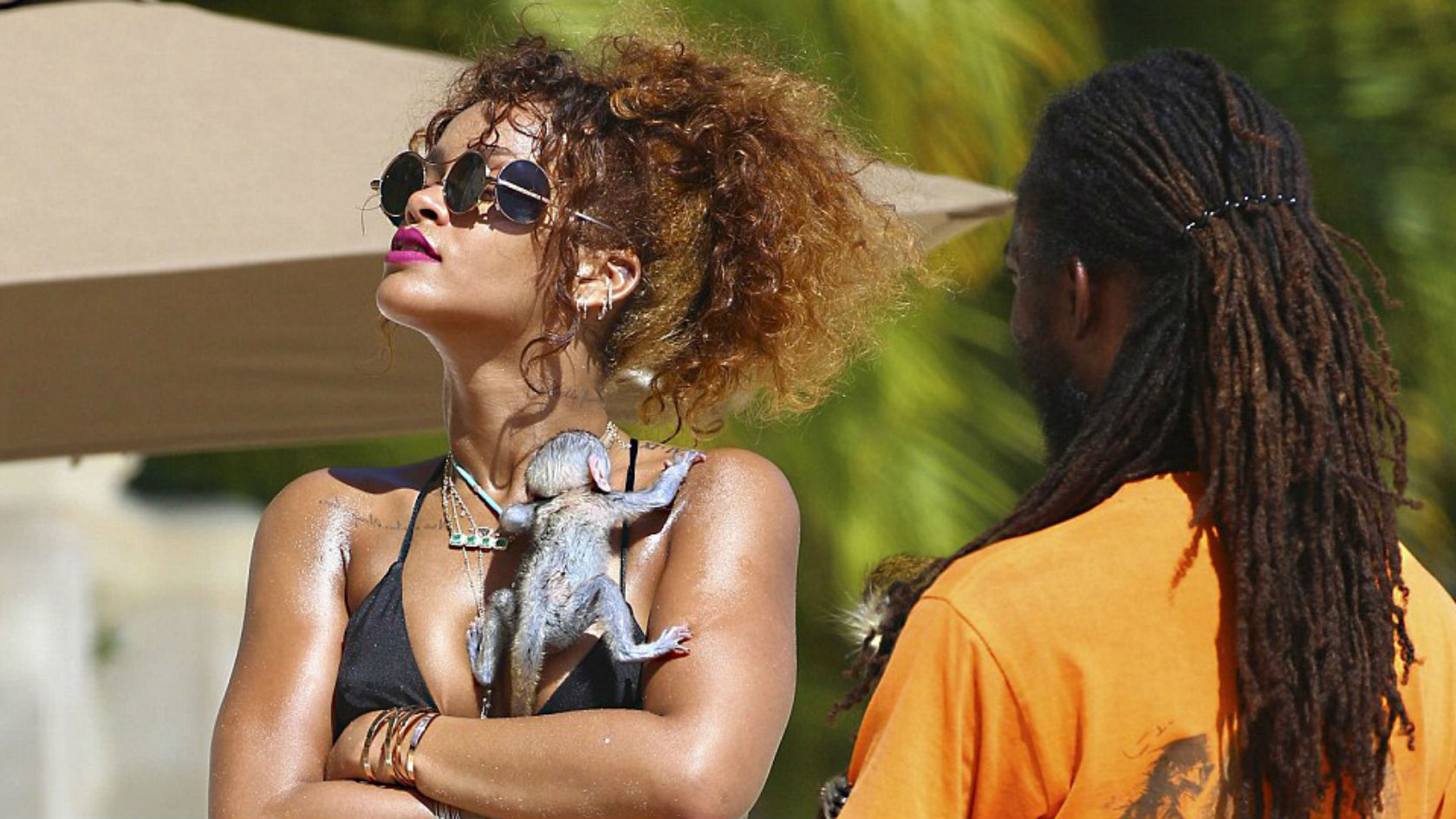 Rihanna Cuddles Baby Monkey In Barbados, Proves She Has A Superior Life