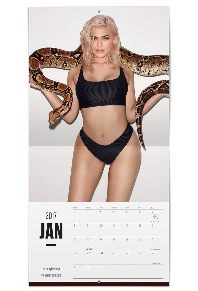 Here Is Kylie Jenner's Raunchy 2017 Calendar Shot By Terry Richardson