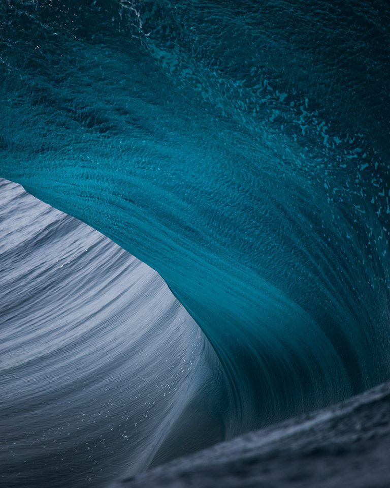 Ray Collins | lifewithoutandy