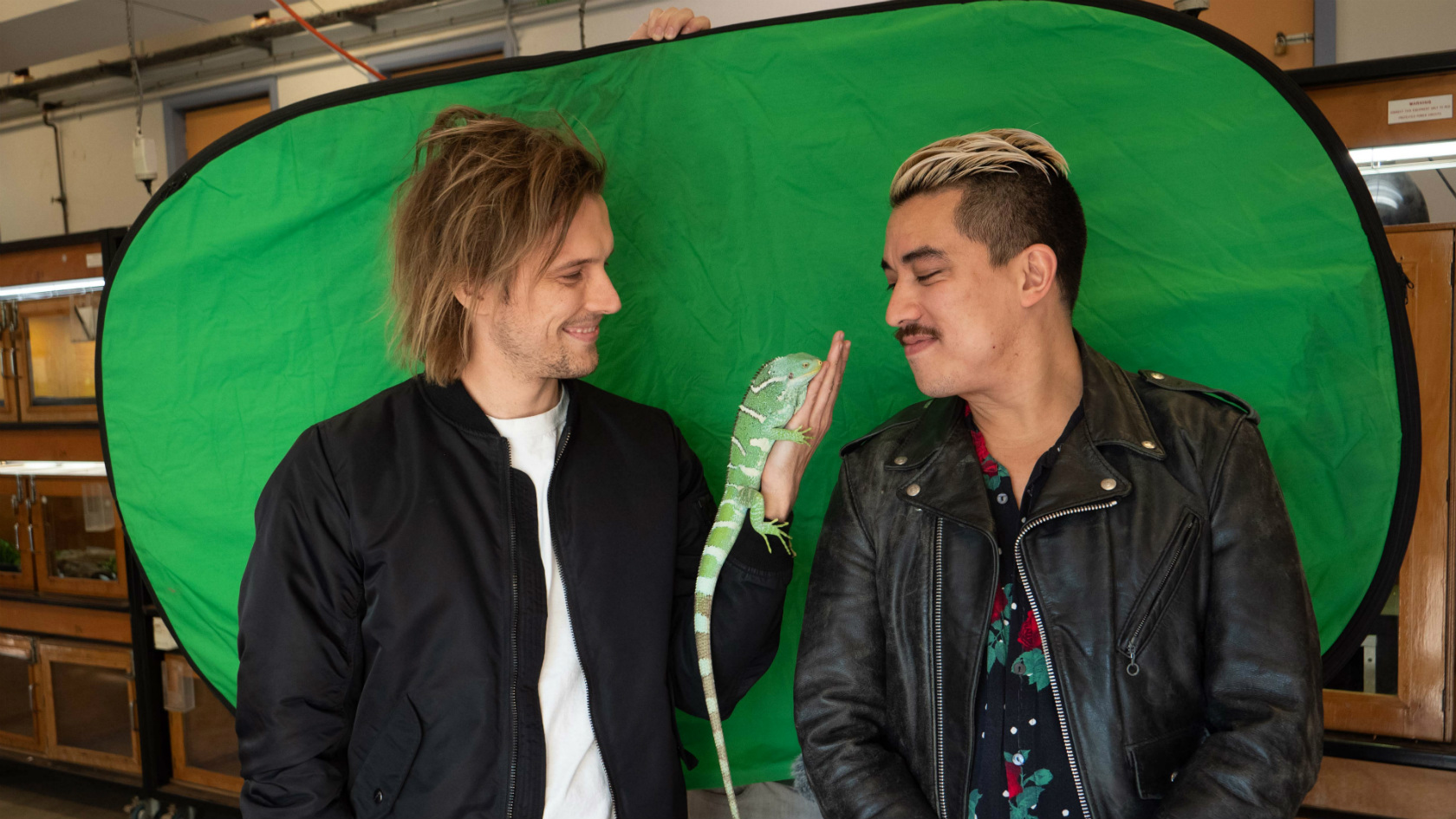 Polish Club Tell Us Everything They Know About Iguanas lifewithoutandy