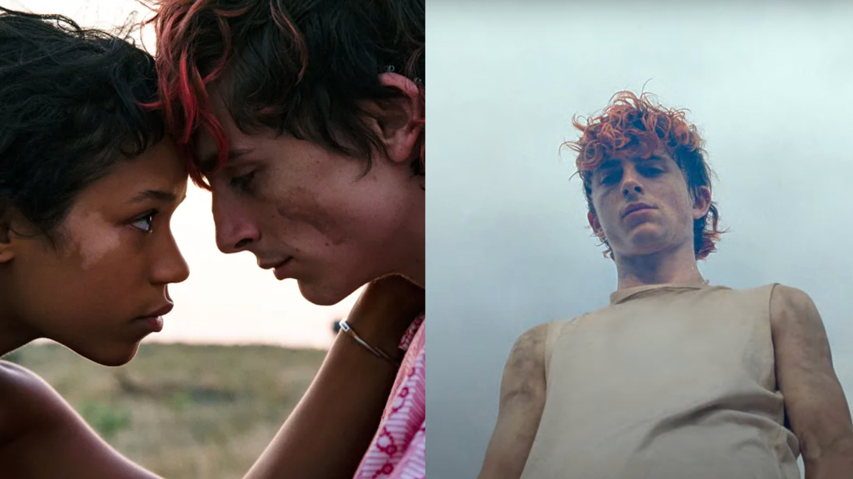 Timoth e Chalamet Plays A Lovesick Cannibal In The First Trailer For 