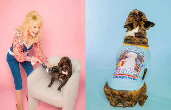 Your Dog Needs Dolly Parton’s New Doggy Apparel And Accessories